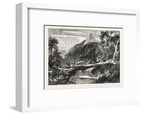 A Forest Scene in Madagascar, 1865-null-Framed Giclee Print