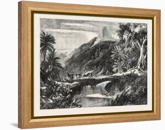 A Forest Scene in Madagascar, 1865-null-Framed Premier Image Canvas