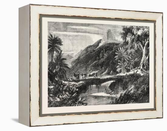 A Forest Scene in Madagascar, 1865-null-Framed Premier Image Canvas