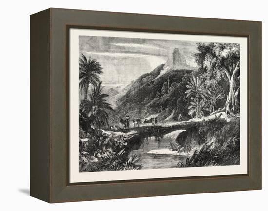 A Forest Scene in Madagascar, 1865-null-Framed Premier Image Canvas