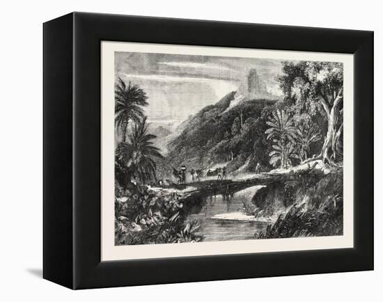 A Forest Scene in Madagascar, 1865-null-Framed Premier Image Canvas