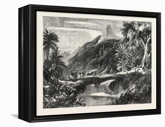 A Forest Scene in Madagascar, 1865-null-Framed Premier Image Canvas