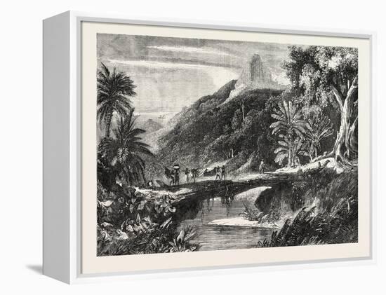 A Forest Scene in Madagascar, 1865-null-Framed Premier Image Canvas