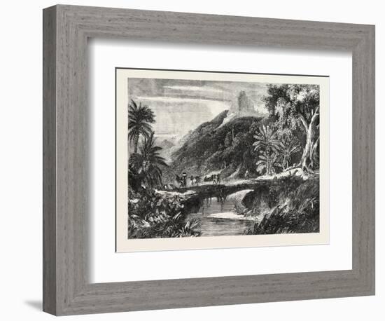 A Forest Scene in Madagascar, 1865-null-Framed Giclee Print