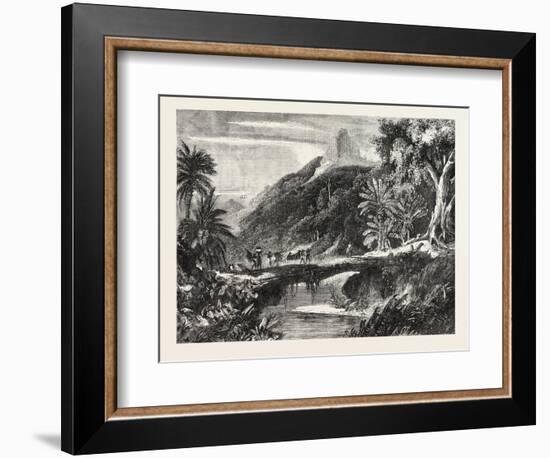 A Forest Scene in Madagascar, 1865-null-Framed Giclee Print