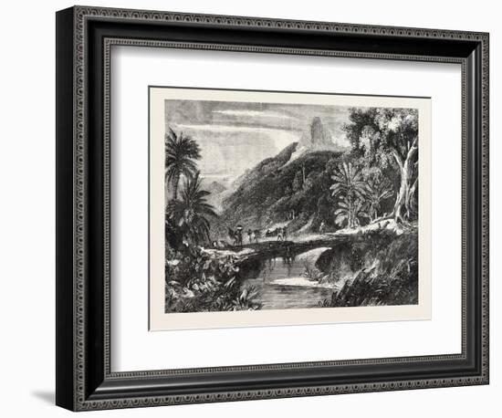 A Forest Scene in Madagascar, 1865-null-Framed Giclee Print