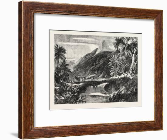 A Forest Scene in Madagascar, 1865-null-Framed Giclee Print