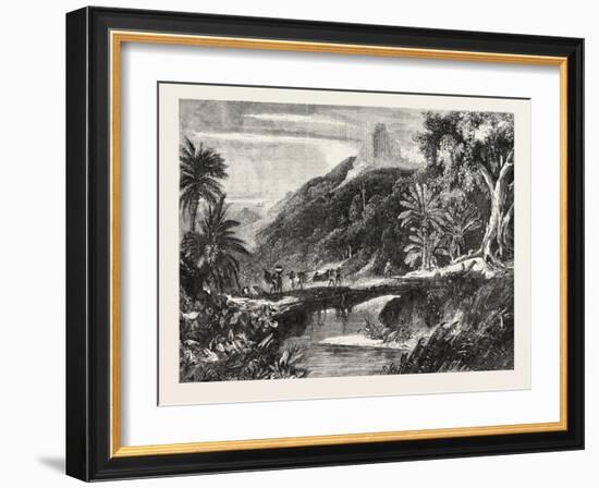 A Forest Scene in Madagascar, 1865-null-Framed Giclee Print