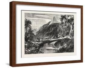 A Forest Scene in Madagascar, 1865-null-Framed Giclee Print