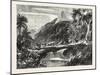 A Forest Scene in Madagascar, 1865-null-Mounted Giclee Print