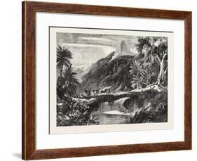 A Forest Scene in Madagascar, 1865-null-Framed Giclee Print