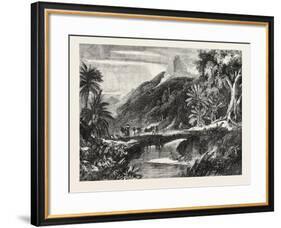 A Forest Scene in Madagascar, 1865-null-Framed Giclee Print