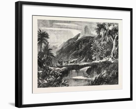 A Forest Scene in Madagascar, 1865-null-Framed Giclee Print