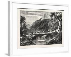 A Forest Scene in Madagascar, 1865-null-Framed Giclee Print