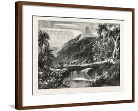 A Forest Scene in Madagascar, 1865-null-Framed Giclee Print