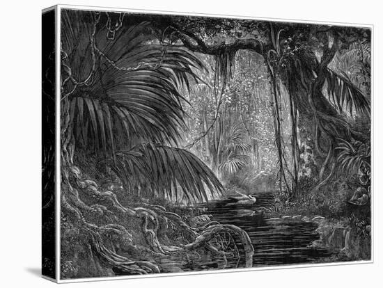 Stretched Canvas Print, , large