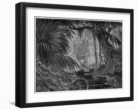 A Forest Scene in Peru, 1877-null-Framed Giclee Print