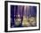 A Forest with the Sun Shining Through-graphicphoto-Framed Photographic Print