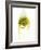 A Forkful of Spaghetti with Pesto-Marc O^ Finley-Framed Photographic Print