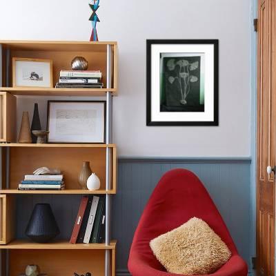 A Fossil Of A Crinoid A Type Of Sea Lily That Lived In The Sea Photographic Print By O Louis Mazzatenta Art Com