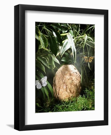 A Fossilized Dinosaur Egg, Probably of the Sauropod Hypselosaurus-null-Framed Giclee Print