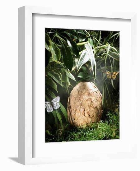 A Fossilized Dinosaur Egg, Probably of the Sauropod Hypselosaurus-null-Framed Giclee Print