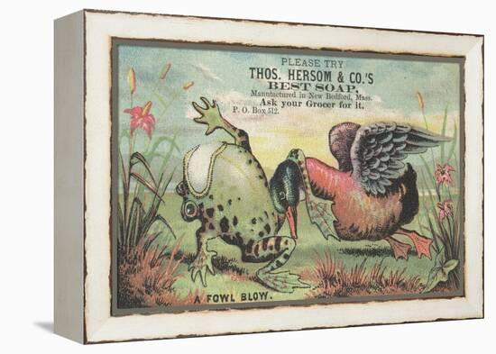 A Fowl Blow', Advertisement for Thos. Hersom and Co's Best Soap, C.1880-American School-Framed Premier Image Canvas