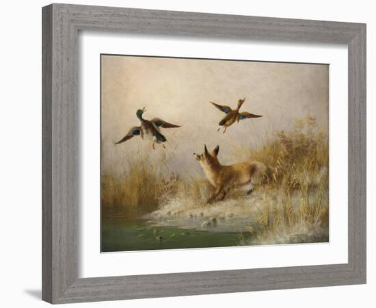 A Fox flushing a Mallard and a Duck, 1870 oil on board-null-Framed Giclee Print