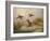 A Fox flushing a Mallard and a Duck, 1870 oil on board-null-Framed Giclee Print