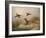 A Fox flushing a Mallard and a Duck, 1870 oil on board-null-Framed Giclee Print