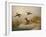 A Fox flushing a Mallard and a Duck, 1870 oil on board-null-Framed Giclee Print