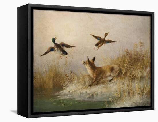 A Fox flushing a Mallard and a Duck, 1870 oil on board-null-Framed Premier Image Canvas