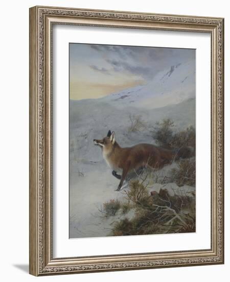 A Fox in a Winter Landscape-Archibald Thorburn-Framed Giclee Print