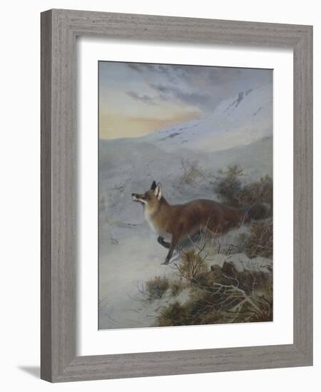 A Fox in a Winter Landscape-Archibald Thorburn-Framed Giclee Print