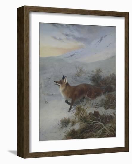 A Fox in a Winter Landscape-Archibald Thorburn-Framed Giclee Print