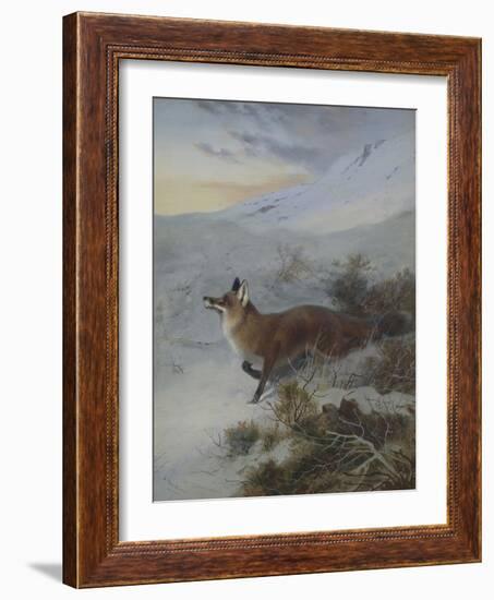 A Fox in a Winter Landscape-Archibald Thorburn-Framed Giclee Print