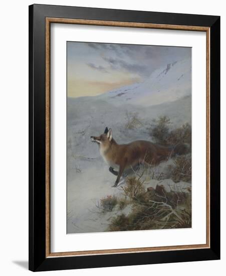 A Fox in a Winter Landscape-Archibald Thorburn-Framed Giclee Print