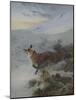 A Fox in a Winter Landscape-Archibald Thorburn-Mounted Giclee Print