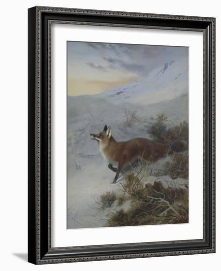 A Fox in a Winter Landscape-Archibald Thorburn-Framed Giclee Print