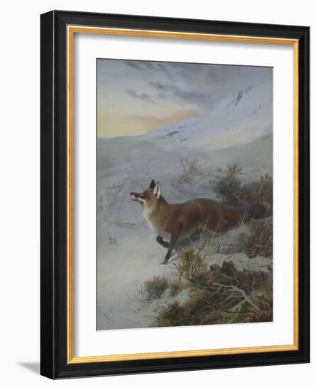 A Fox in a Winter Landscape-Archibald Thorburn-Framed Giclee Print