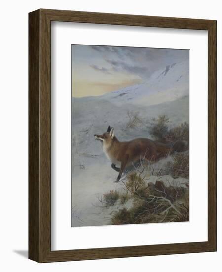 A Fox in a Winter Landscape-Archibald Thorburn-Framed Giclee Print