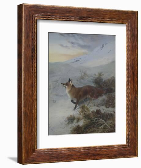 A Fox in a Winter Landscape-Archibald Thorburn-Framed Giclee Print