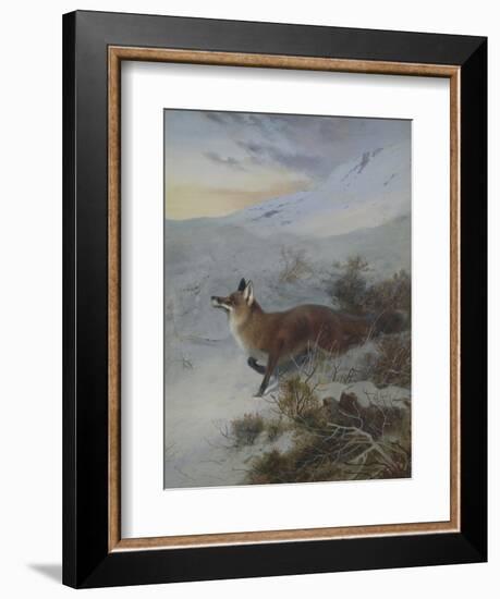 A Fox in a Winter Landscape-Archibald Thorburn-Framed Giclee Print