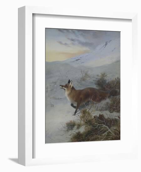 A Fox in a Winter Landscape-Archibald Thorburn-Framed Giclee Print