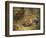 A Fox with a Pheasant-George Havell-Framed Giclee Print