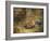 A Fox with a Pheasant-George Havell-Framed Giclee Print