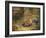 A Fox with a Pheasant-George Havell-Framed Giclee Print