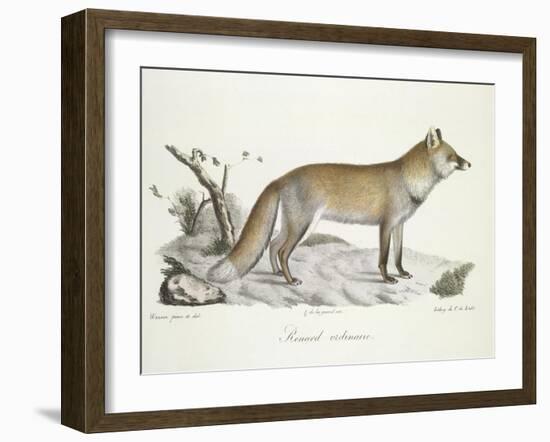 A Fox-Werner-Framed Giclee Print