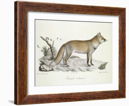 A Fox-Werner-Framed Giclee Print