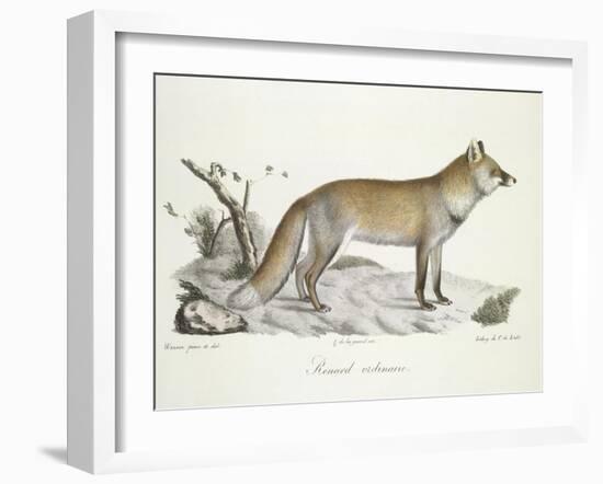 A Fox-Werner-Framed Giclee Print
